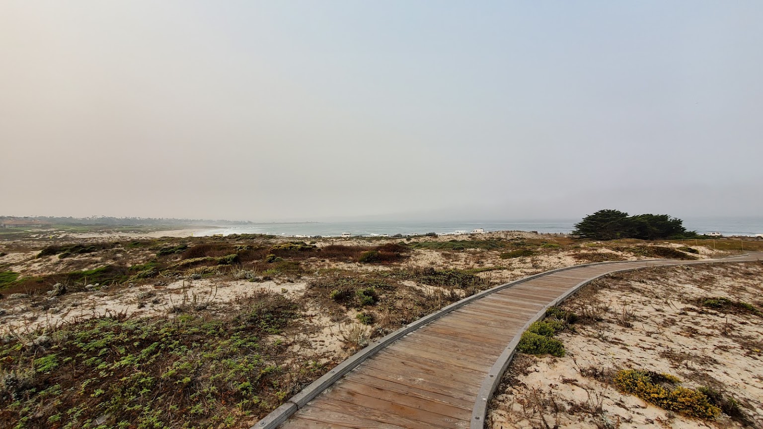 Asilomar dunes boardwalk